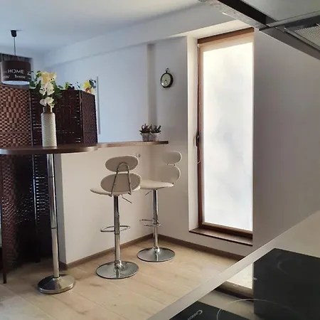 Seasons Luxury Residences Studio 23 Apartment Brasov